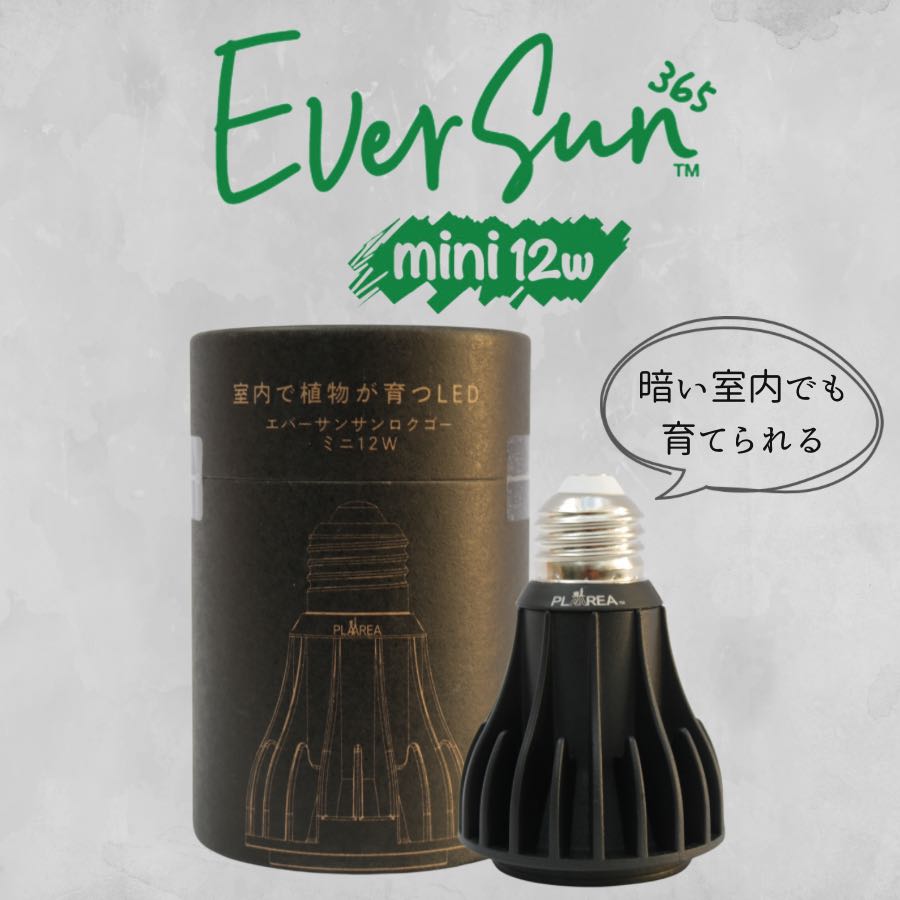 ゼンスイ EverSun365 12W 植物育成用ライト