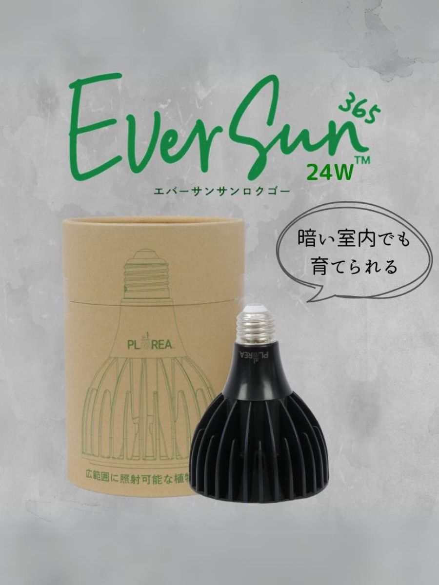 ゼンスイ EverSun365 24W 植物育成用ライト – AONOKI