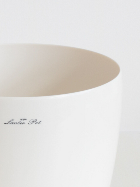 ラスターポット 6号用