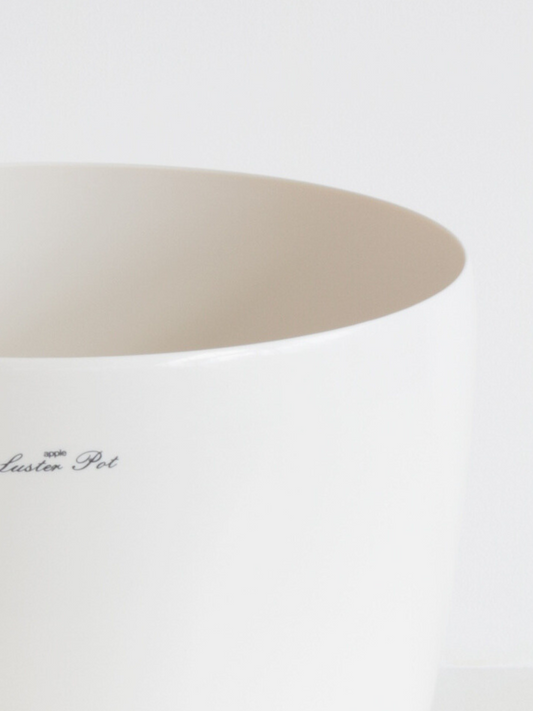 ラスターポット 8号用