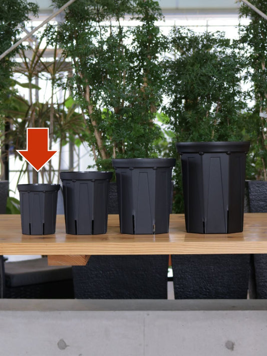 スリット鉢 4号 CSM-120L