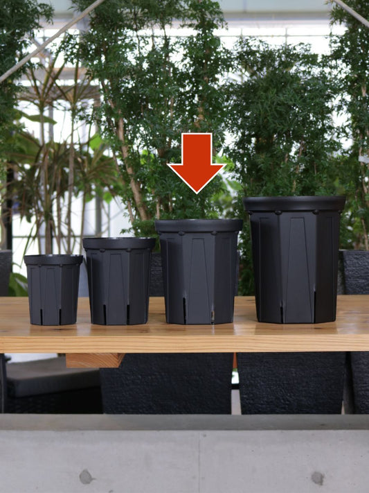 スリット鉢 6号 CSM-180L