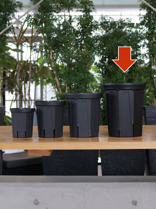 スリット鉢 7号 CSM-210L