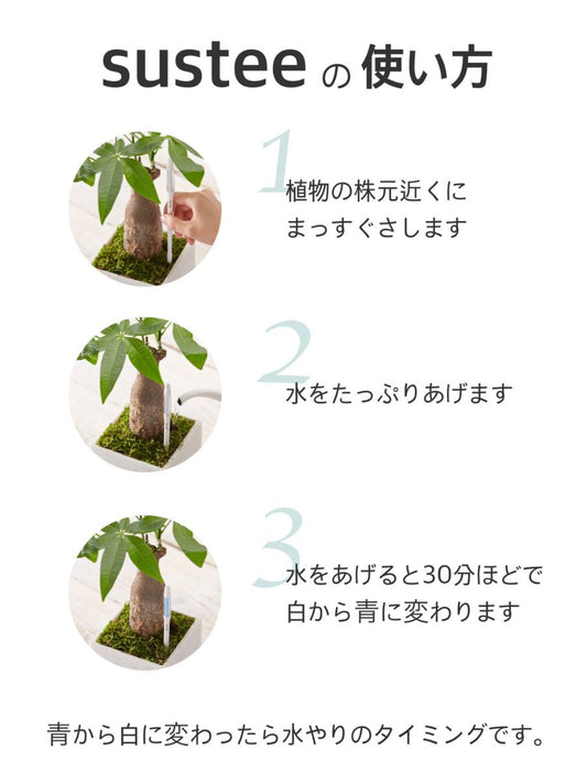 SUSTEE 水やりチェッカー Sサイズ 緑
