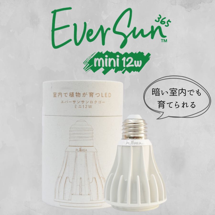 ゼンスイ EverSun365 12W 植物育成用ライト