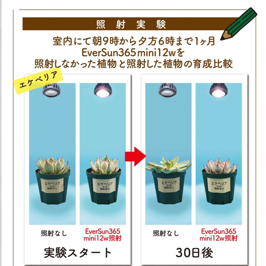 ゼンスイ EverSun365 12W 植物育成用ライト