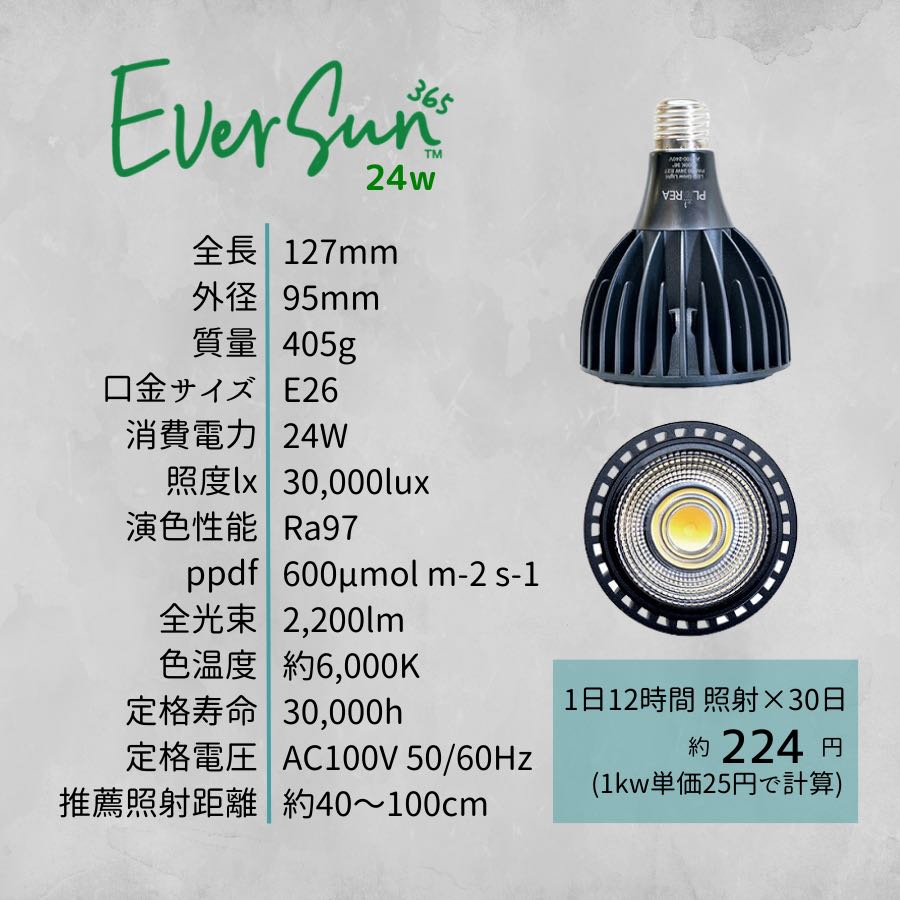 ゼンスイ EverSun365 24W 植物育成用ライト – AoNoKi