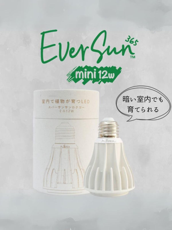 ゼンスイ EverSun365 12W 植物育成用ライト 白